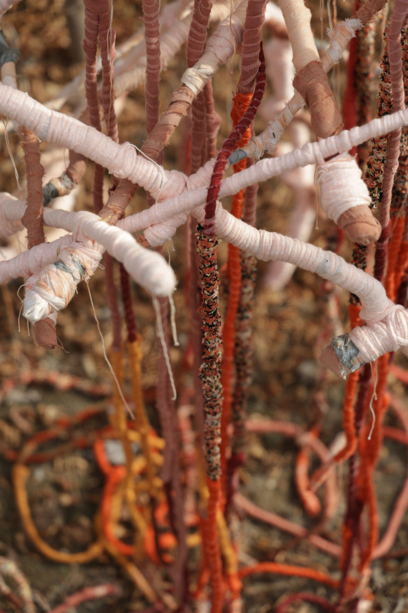 Sheltering roots to Pachamama (detail). Fotografie Yori Ettema