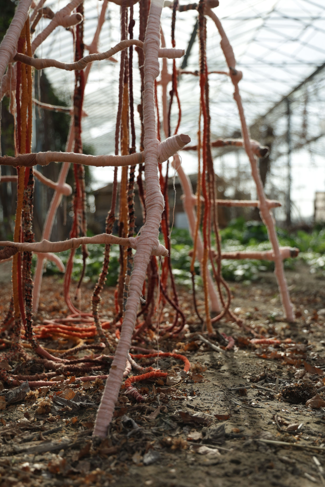 Sheltering roots to Pachamama (deel). Fotografie Yori Ettema