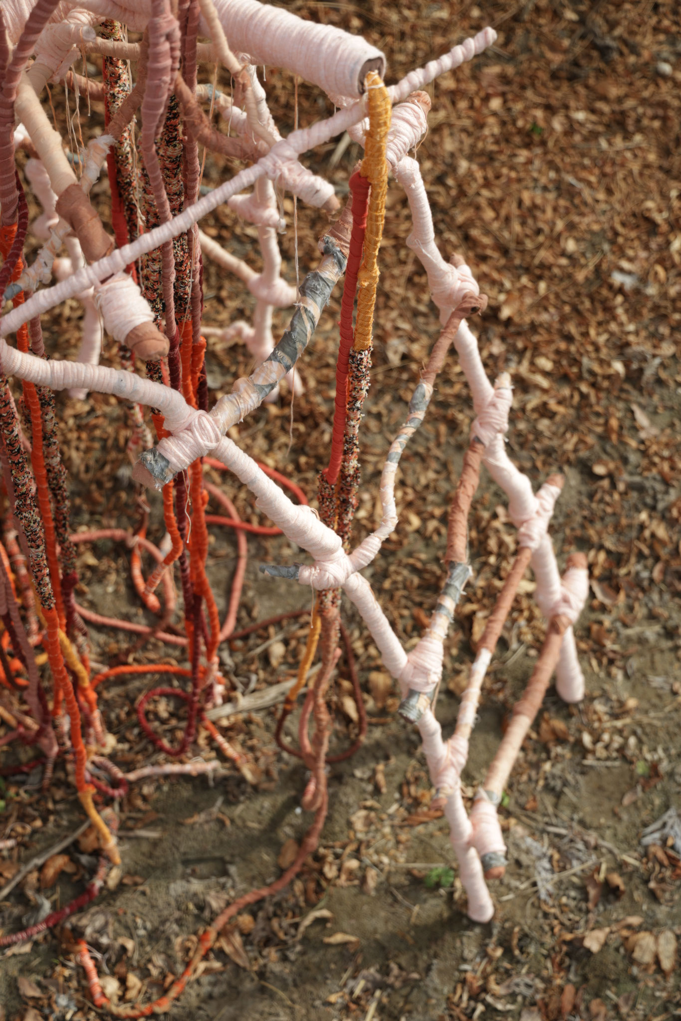 Sheltering roots to Pachamama (detail). Fotografie Yori Ettema