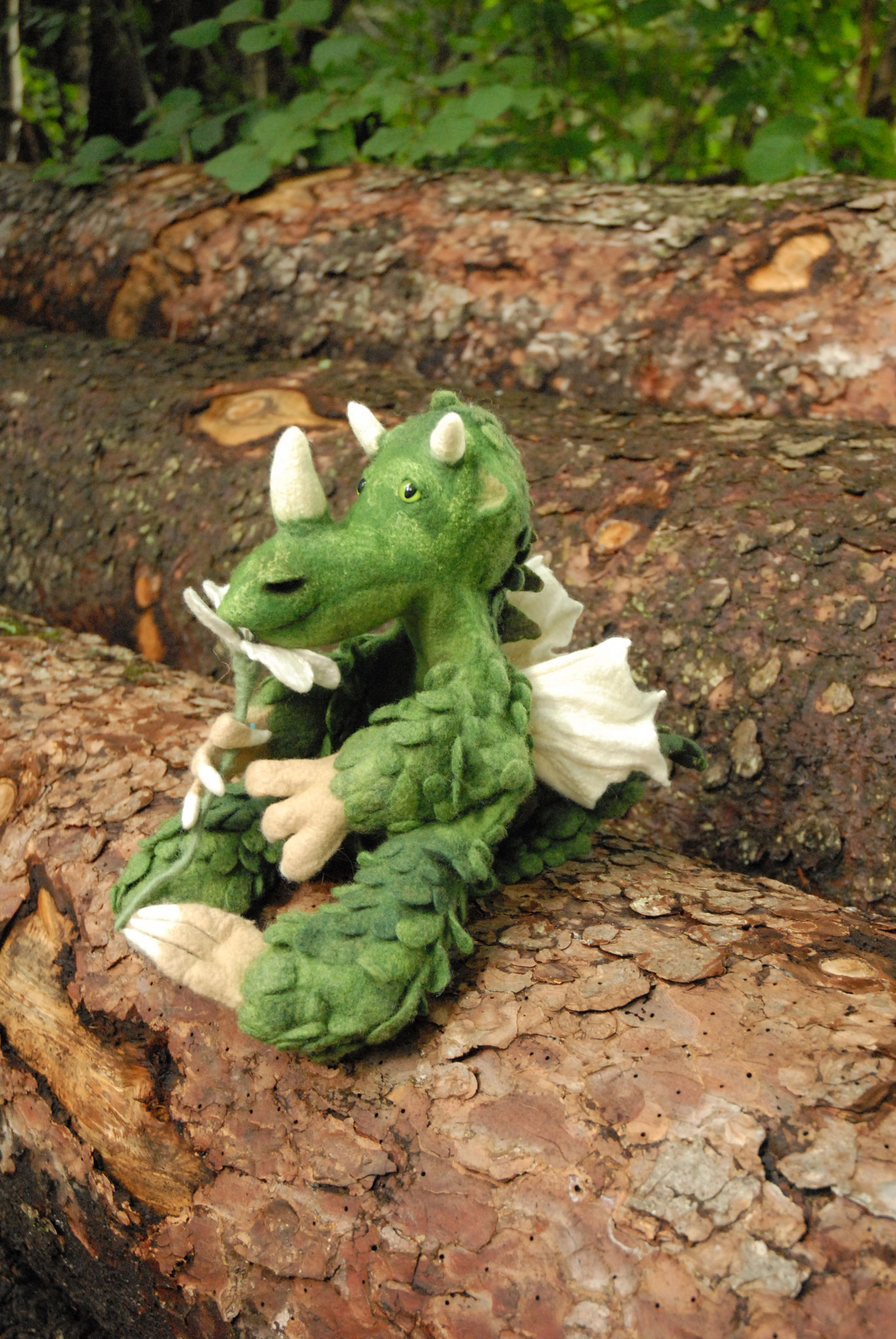 Drache Nr.4