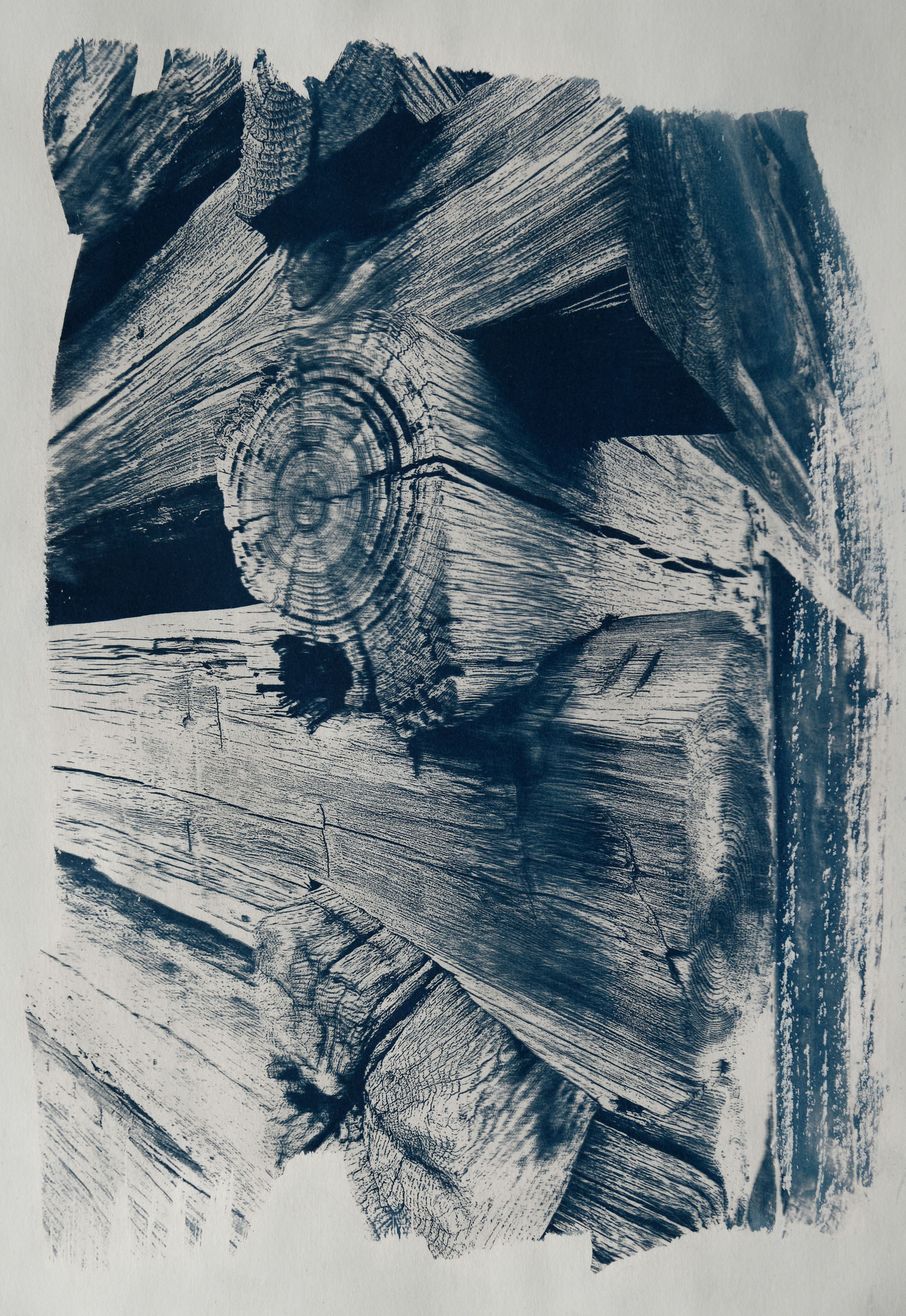 Cabin in the woods, Cyanotypie auf Papier, 29x42 cm, 2022