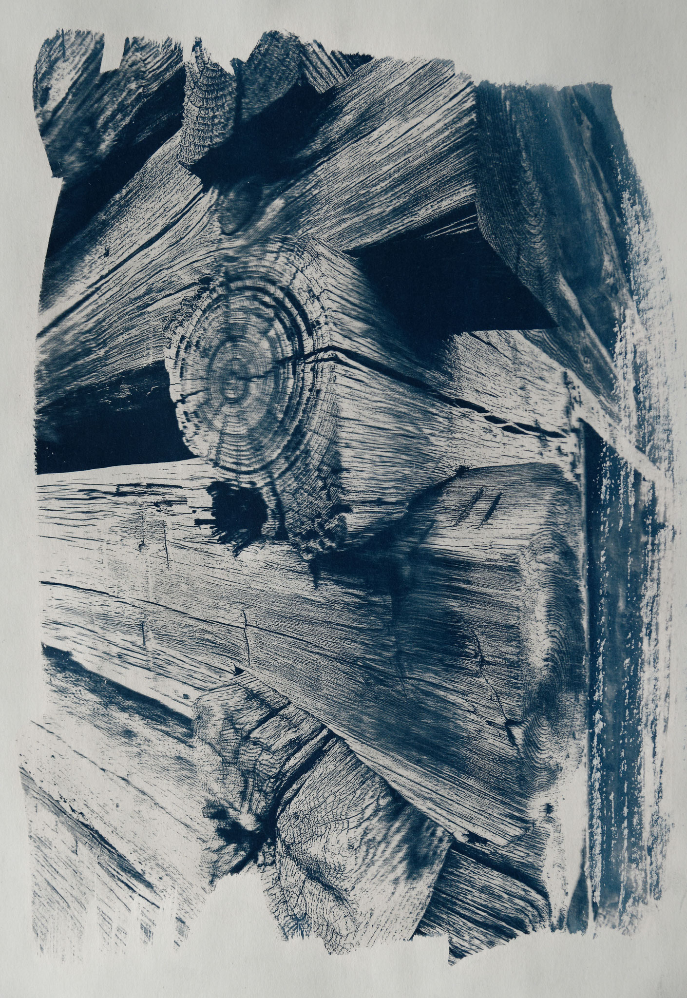 Vor der Hütte, Cyanotypie auf Papier, 29x42 cm, 2022