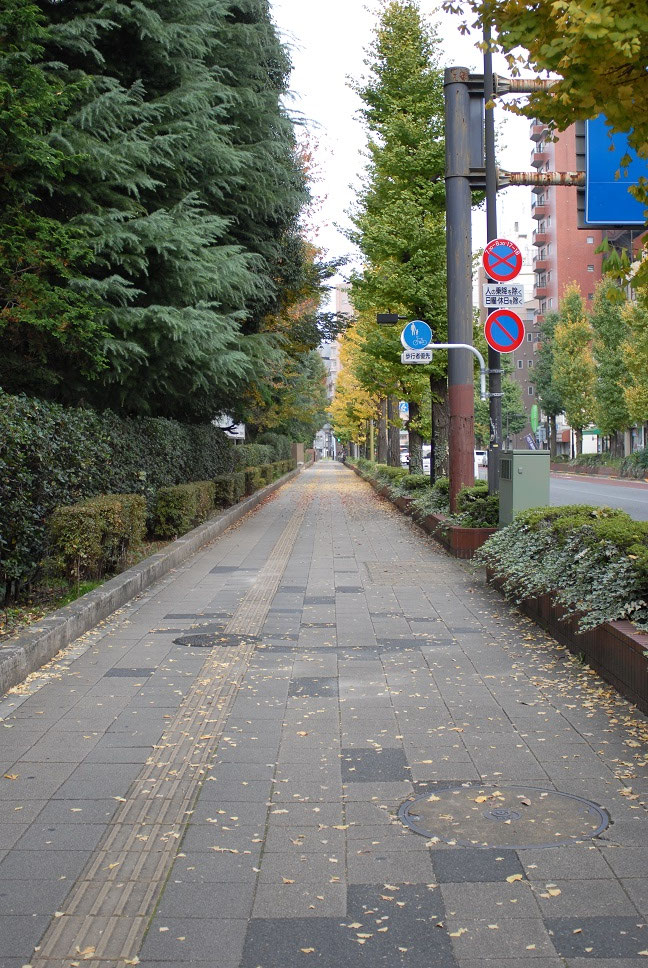 北に甲州街道（20号）をへだてて南多摩高校
