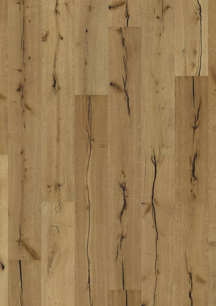 Oak No. 35 - Arundel