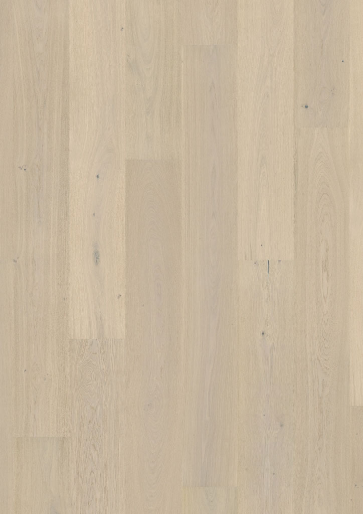 Oak No. 36 - Harewood