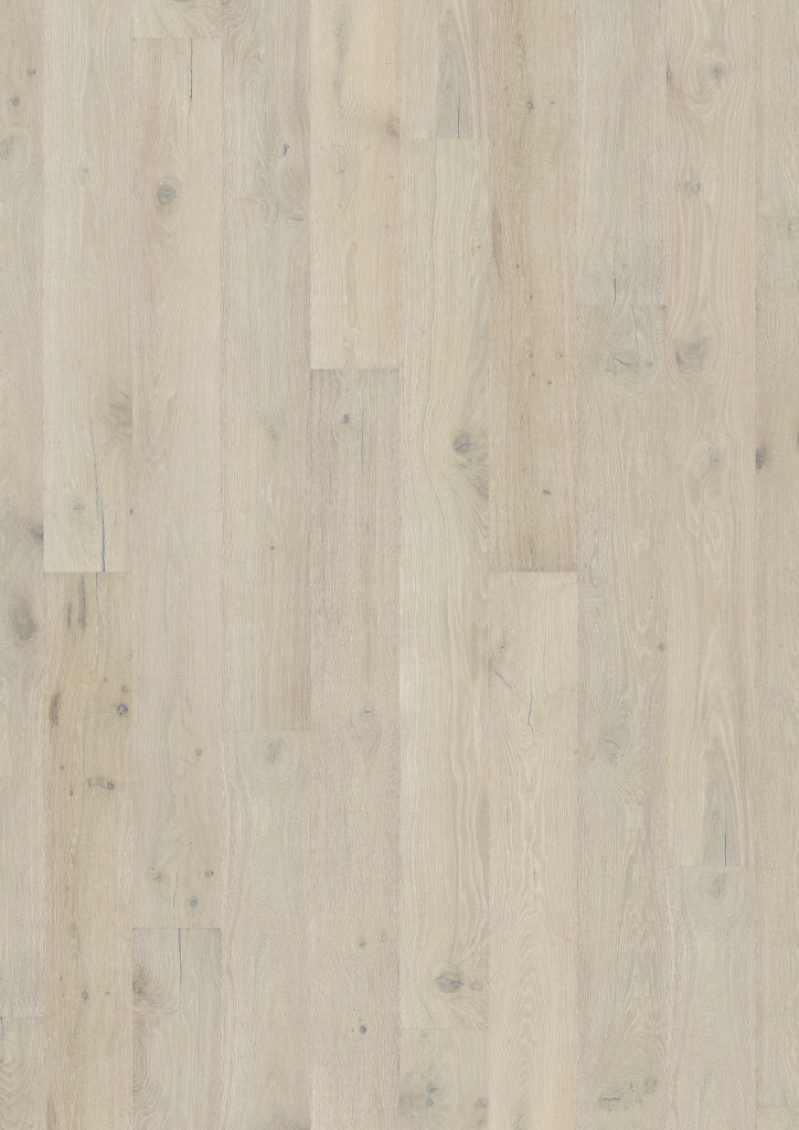 Oak No. 30 - Cotswolds