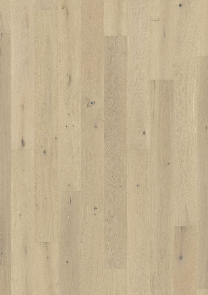 Oak No. 25 - Brighton