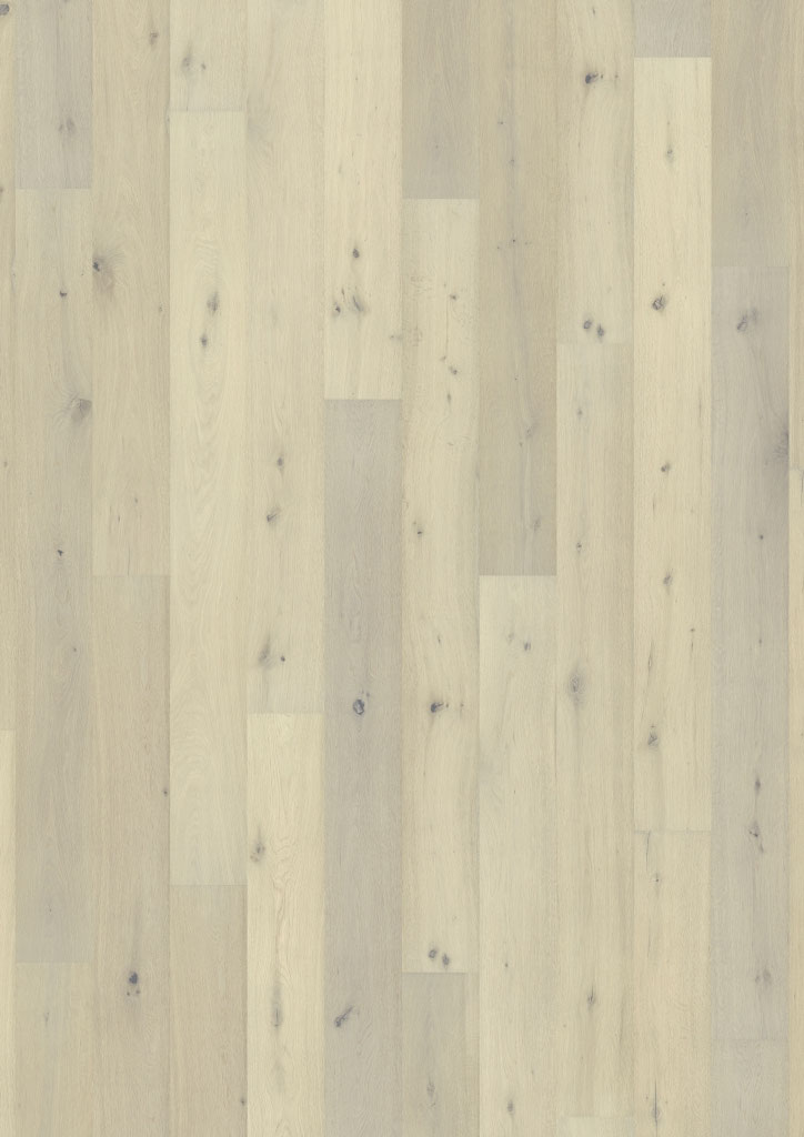 Oak No. 27 - Cardiff