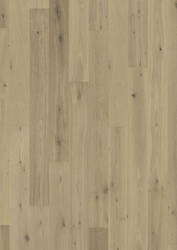 Oak No. 26 - Bath