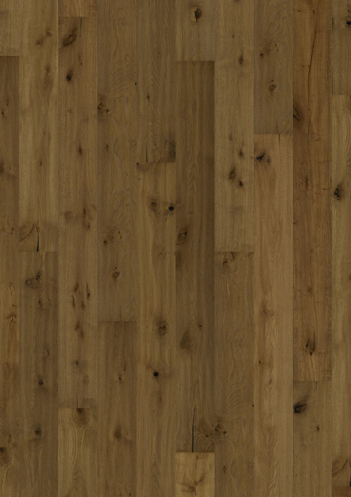 Oak No. 29 - Blackdown Hills