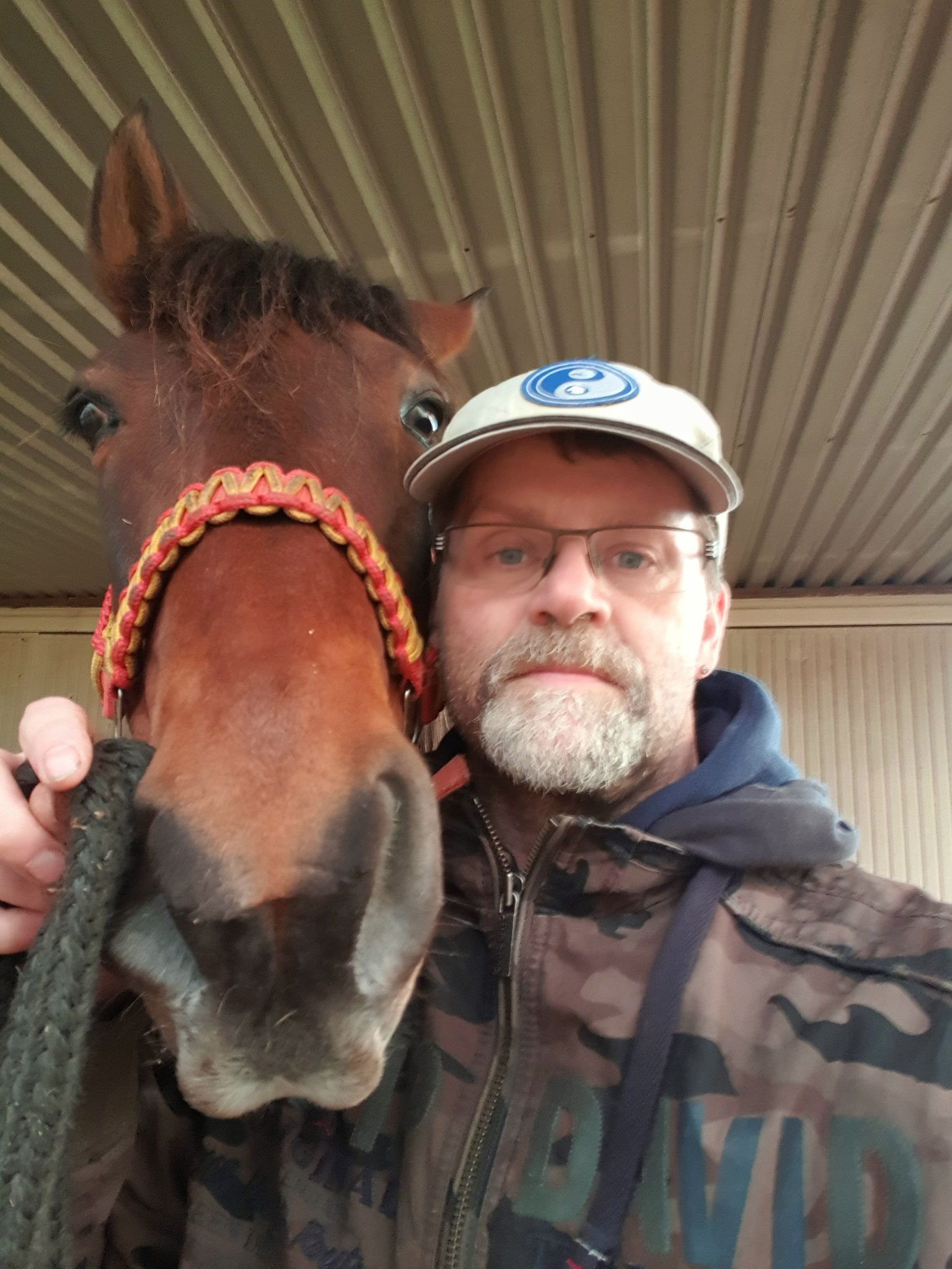 Mit dem Pferd auf Du