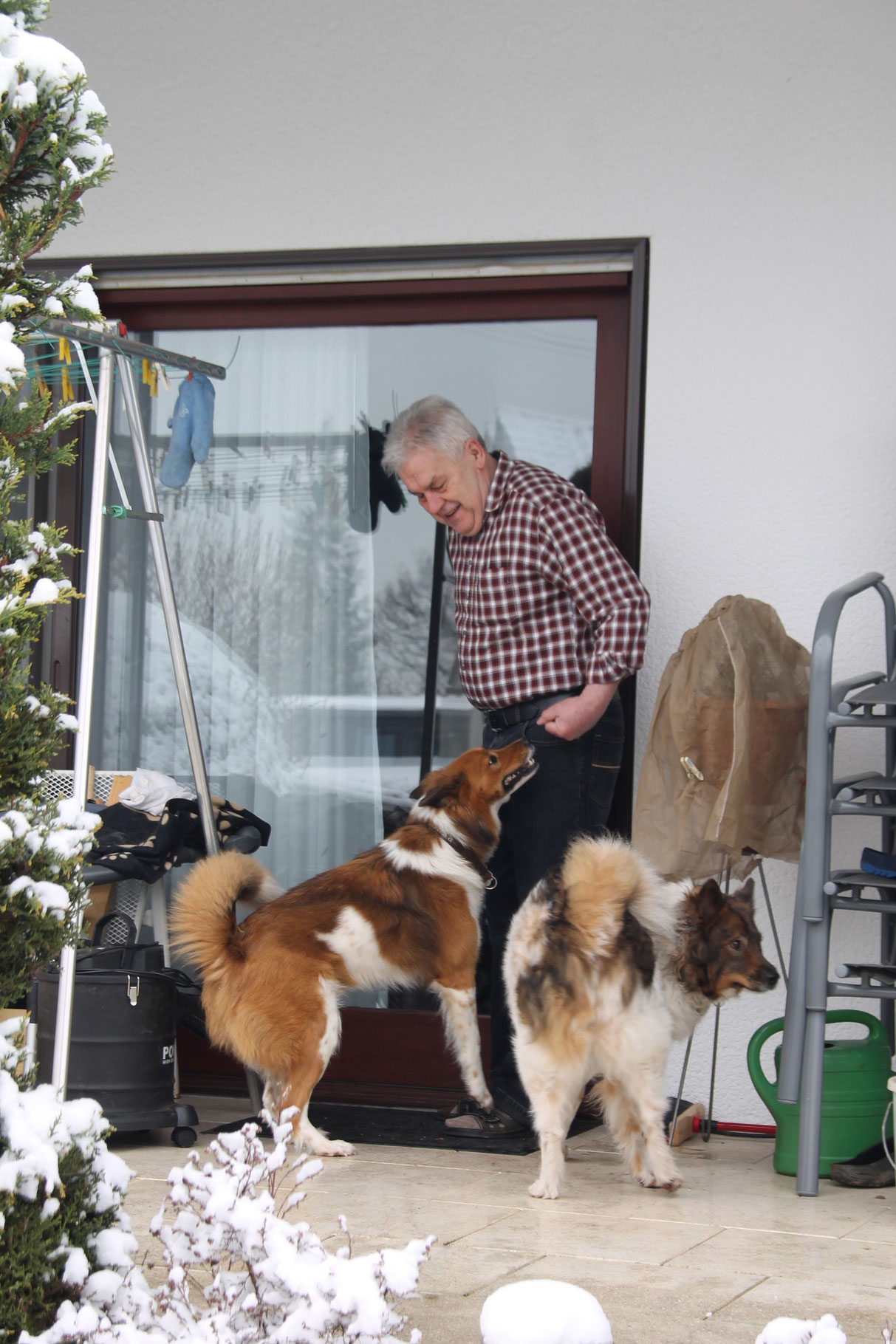 Für Binka ungewöhnlich, sooo viele Hunde in ihrem Garten