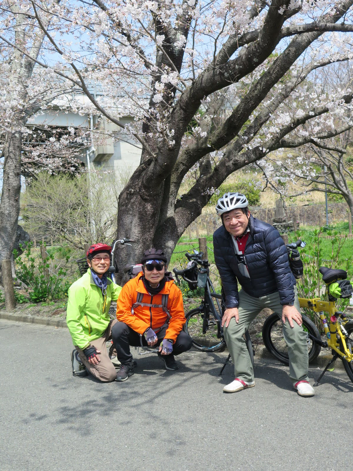 🌸🚲🌸🚲🌸🚲(・∀・)ｲｲﾈ!!