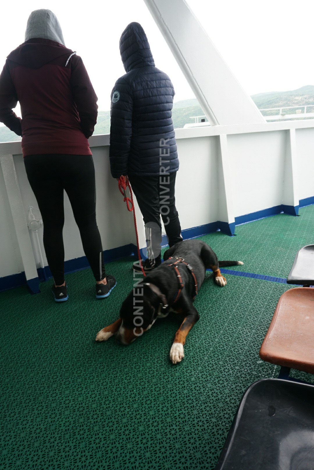 Fido ist die Überfahrt gar nicht geheuer