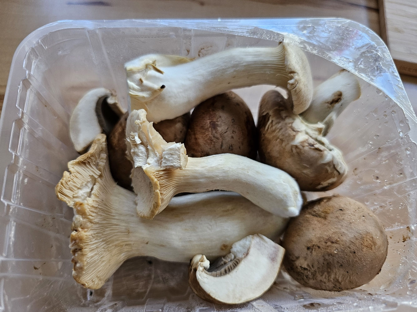 Verschiedene Pilze für Waldpilzcremesuppe
