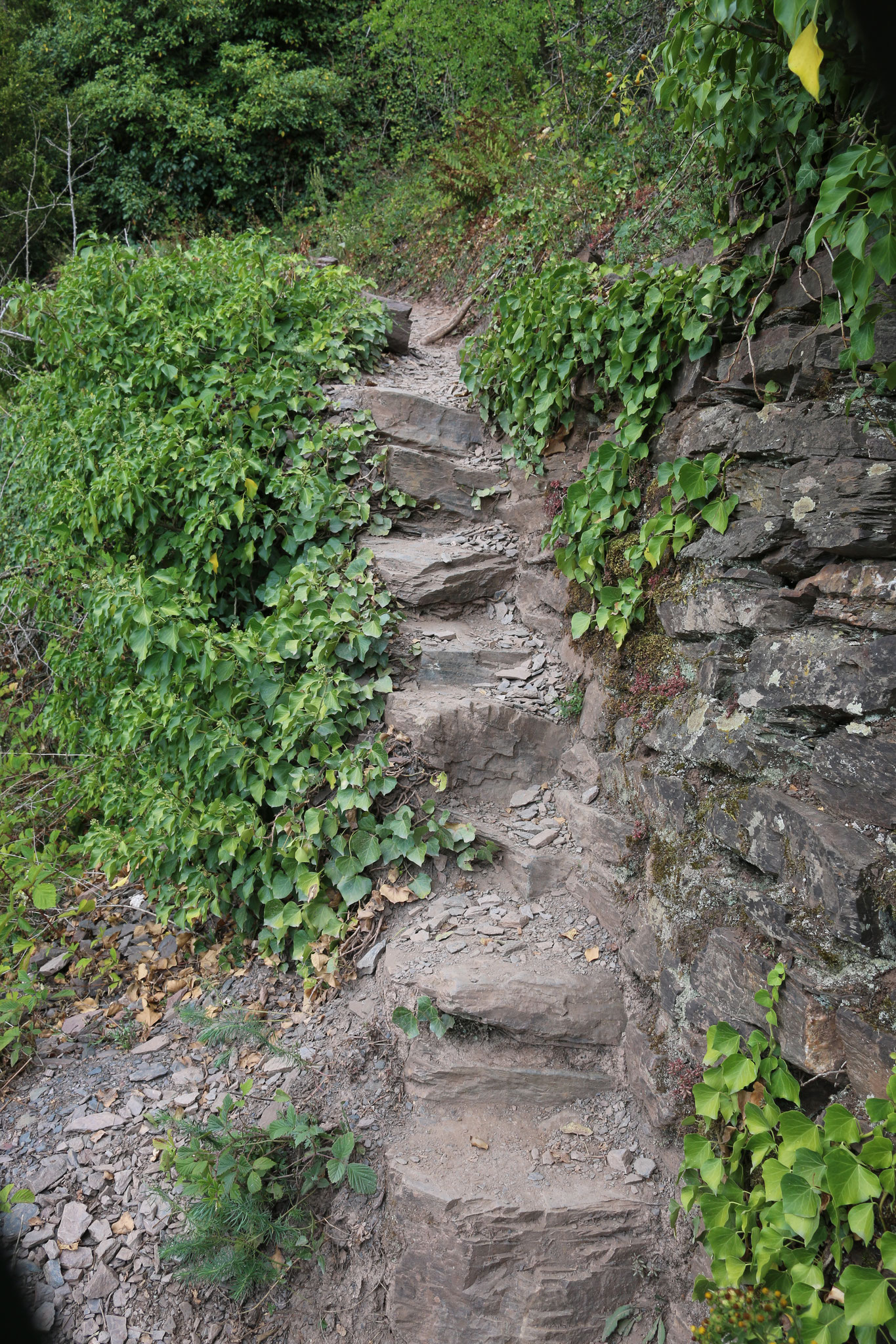 Eine alte Weinbergstreppe in der Steilstlage