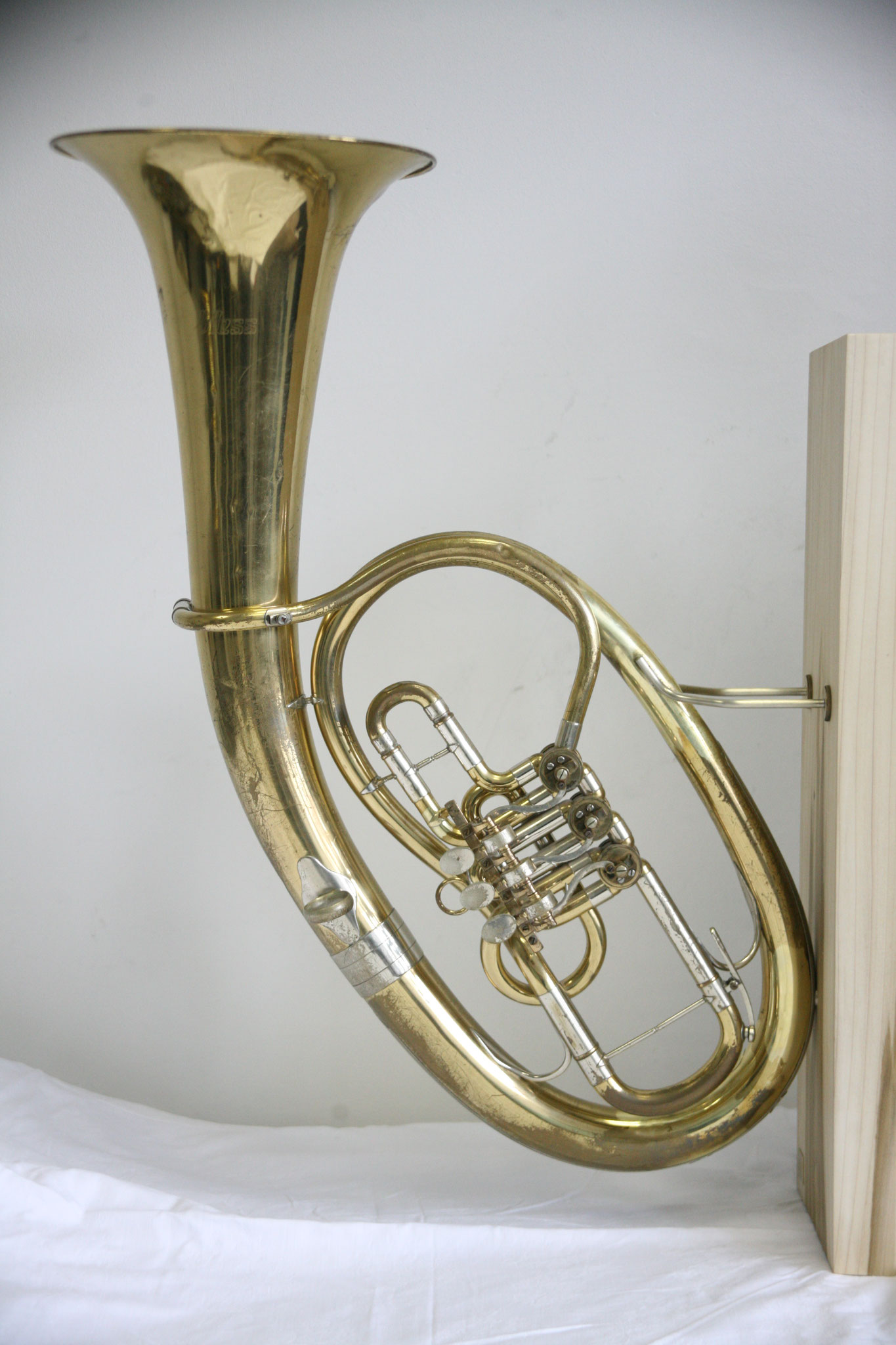 Tenorhorn / Wandleuchte-Deckenstrahler