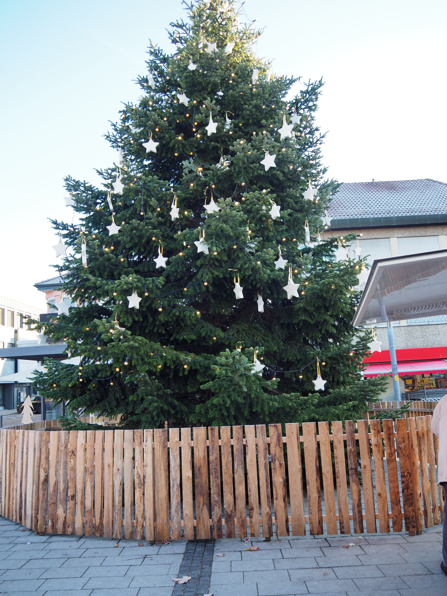 Christbaum in Reichenbach