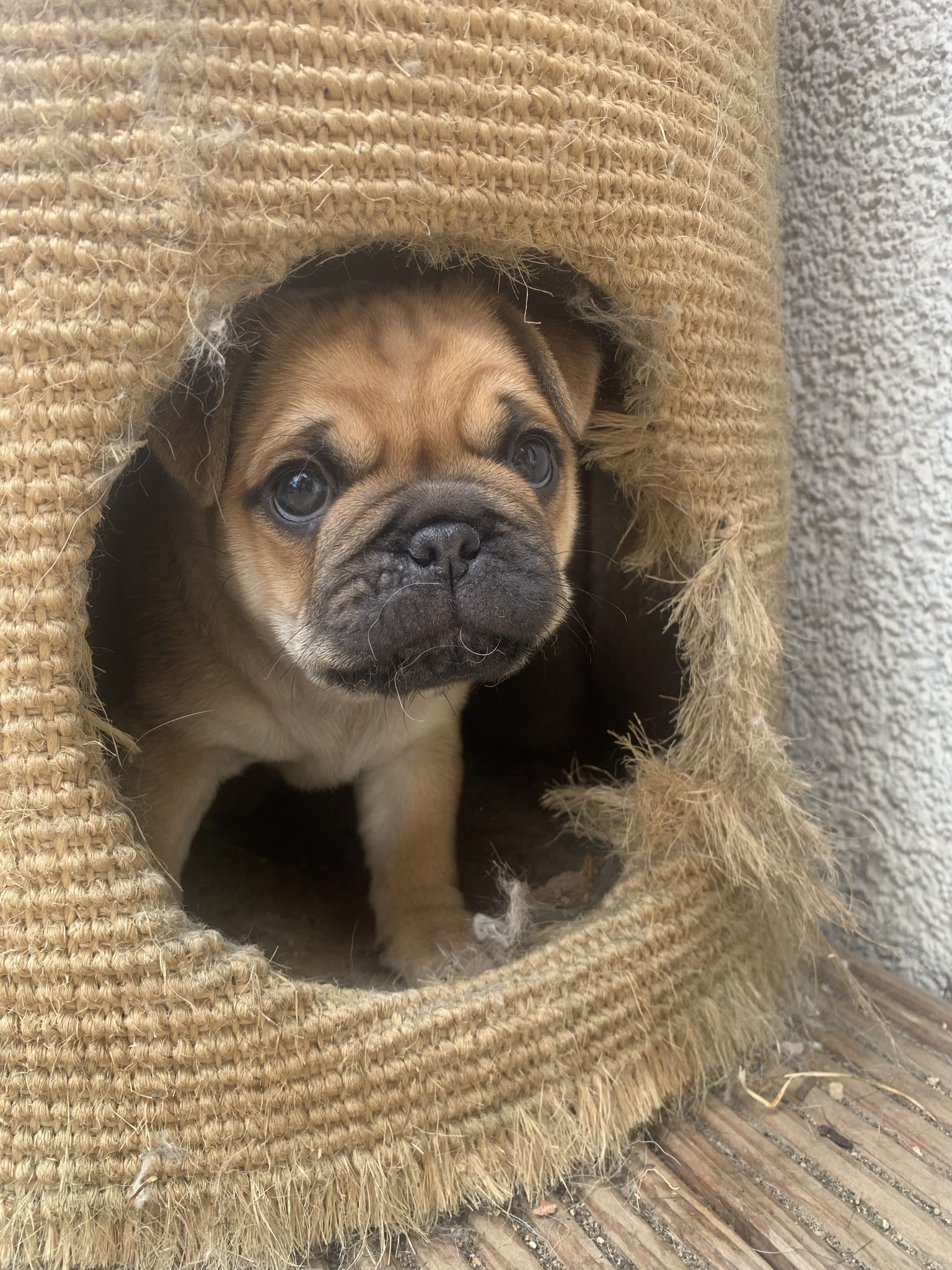 My home is my castle