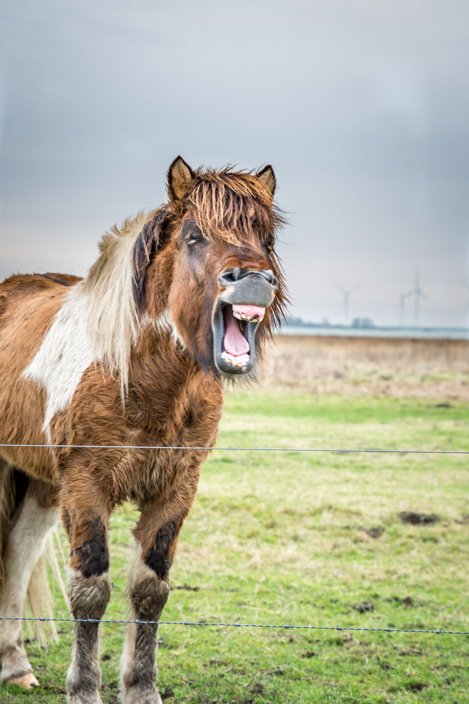 Kraaijenberg Bergen op Zoom