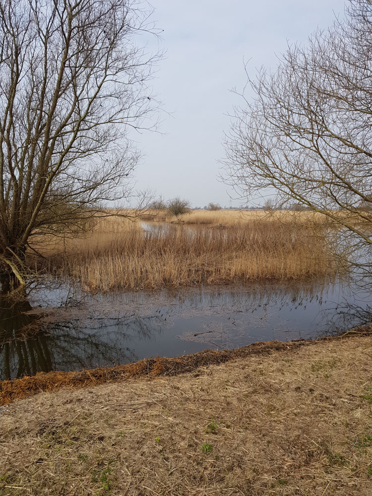 Natuurreservaat Molenplaat Bergen op Zoom