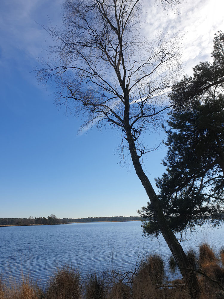 Kalmthoutseheide