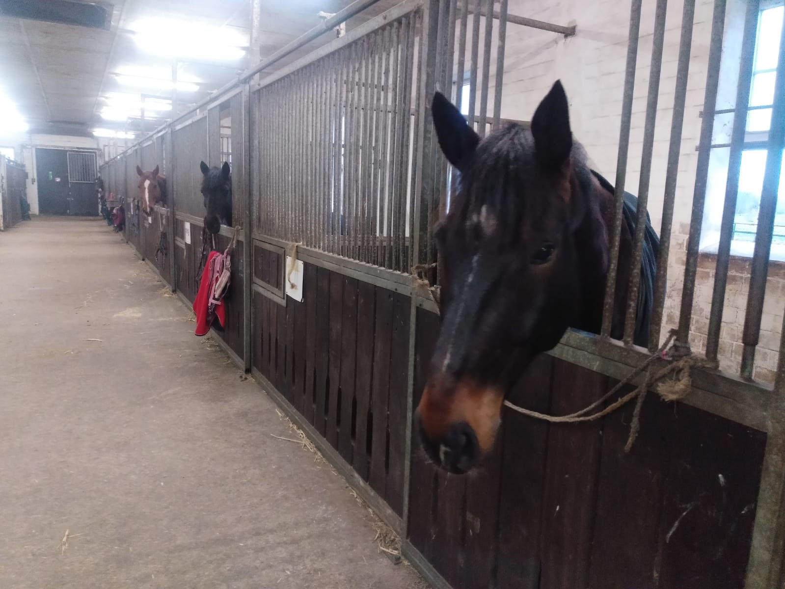 Stallgasse