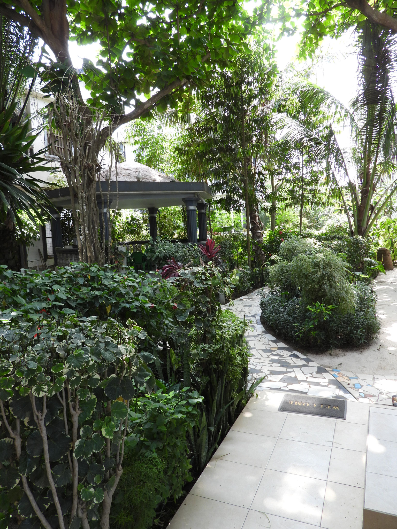 Unser Garten vom Balkon des Gästezimmers «Ghana.