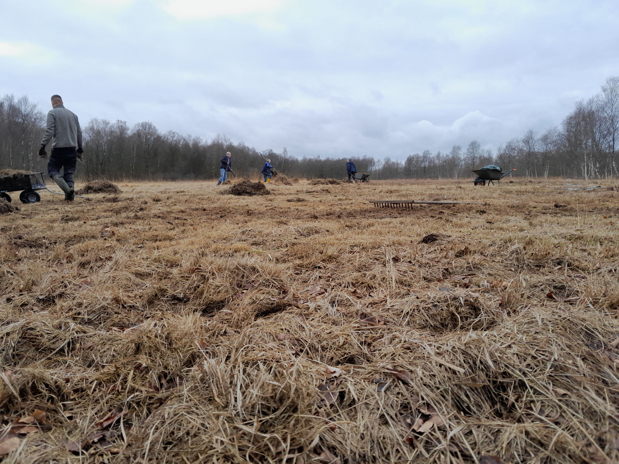 Freiwillige bei der Arbeit. Foto: ÖNSL