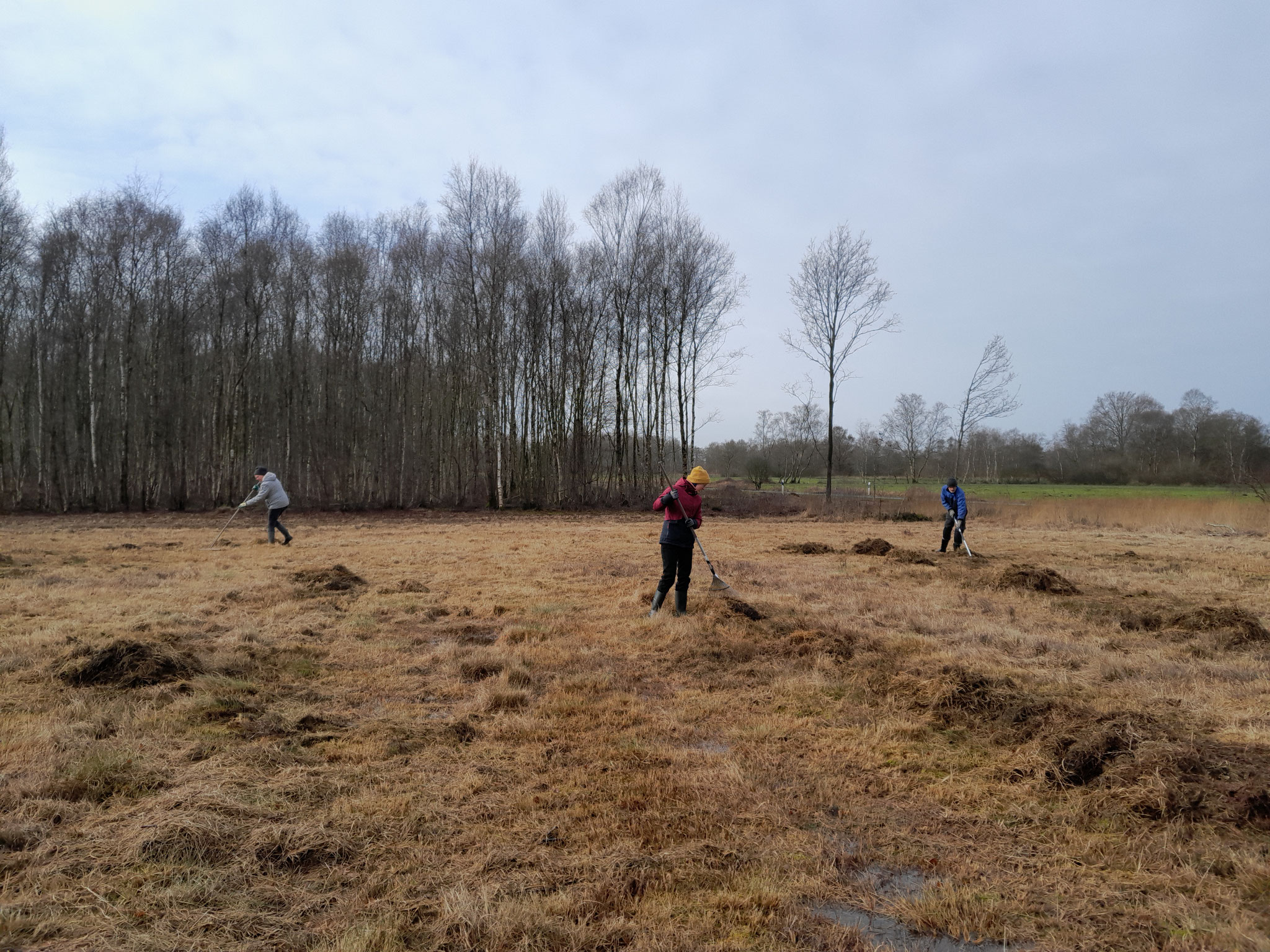 Freiwillige bei der Arbeit. Foto: ÖNSL