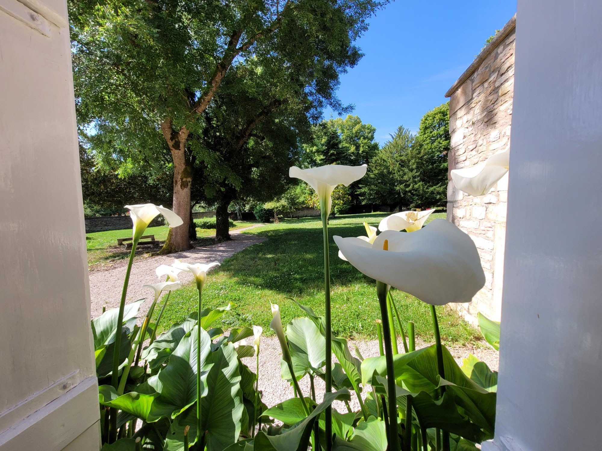 Du temps pour soi Fontaines petit logis - vue jardin et Arums
