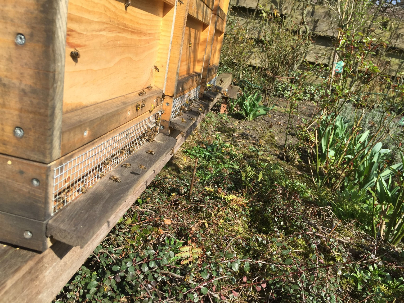 Starker Flugbetrieb im April