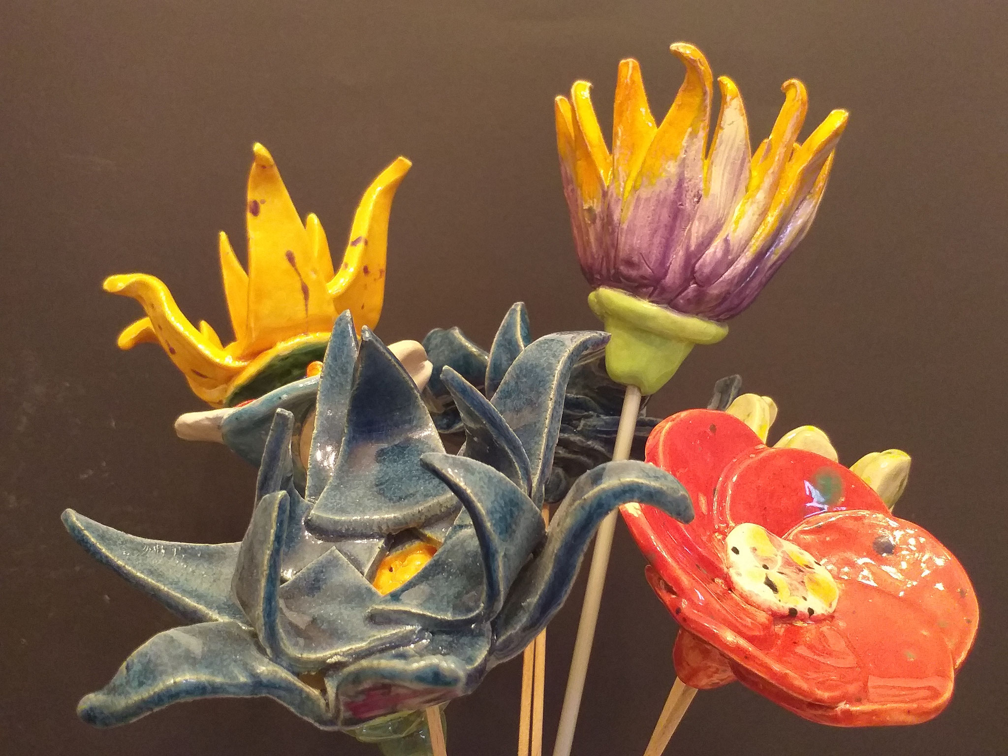 Blumenblüten
