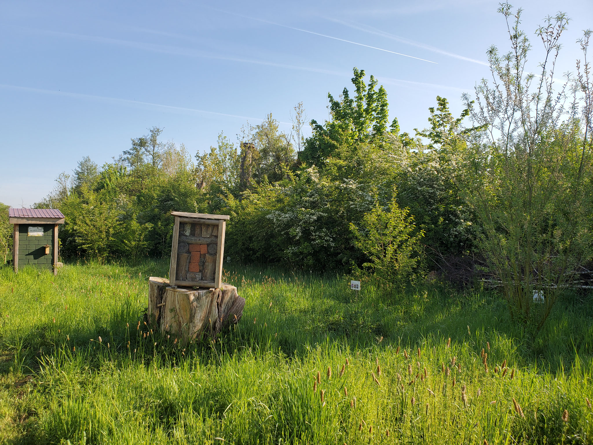 Wildbienen-Hotel (Foto: J. Auras)