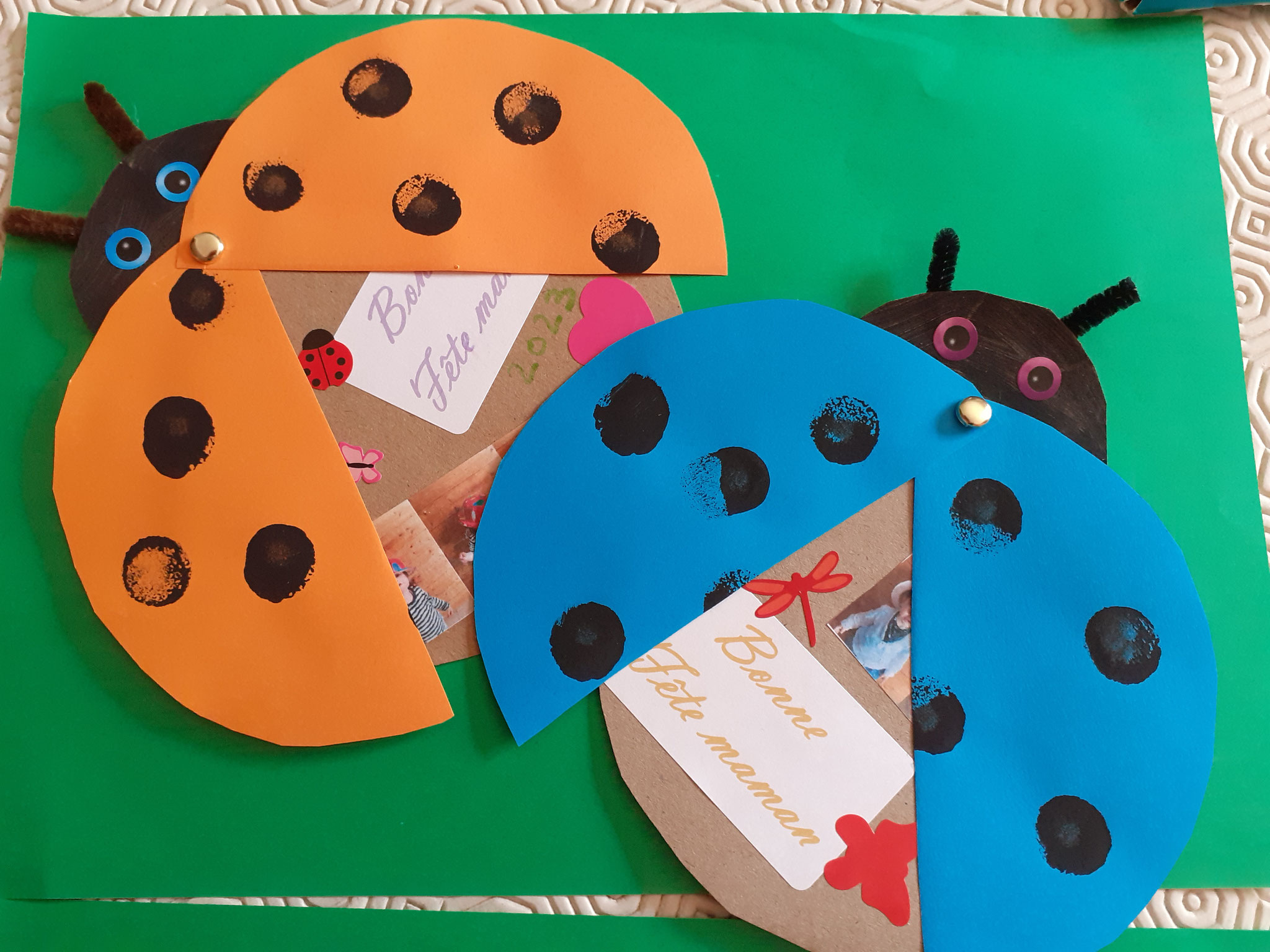 coccinelles qui cachent une surprise