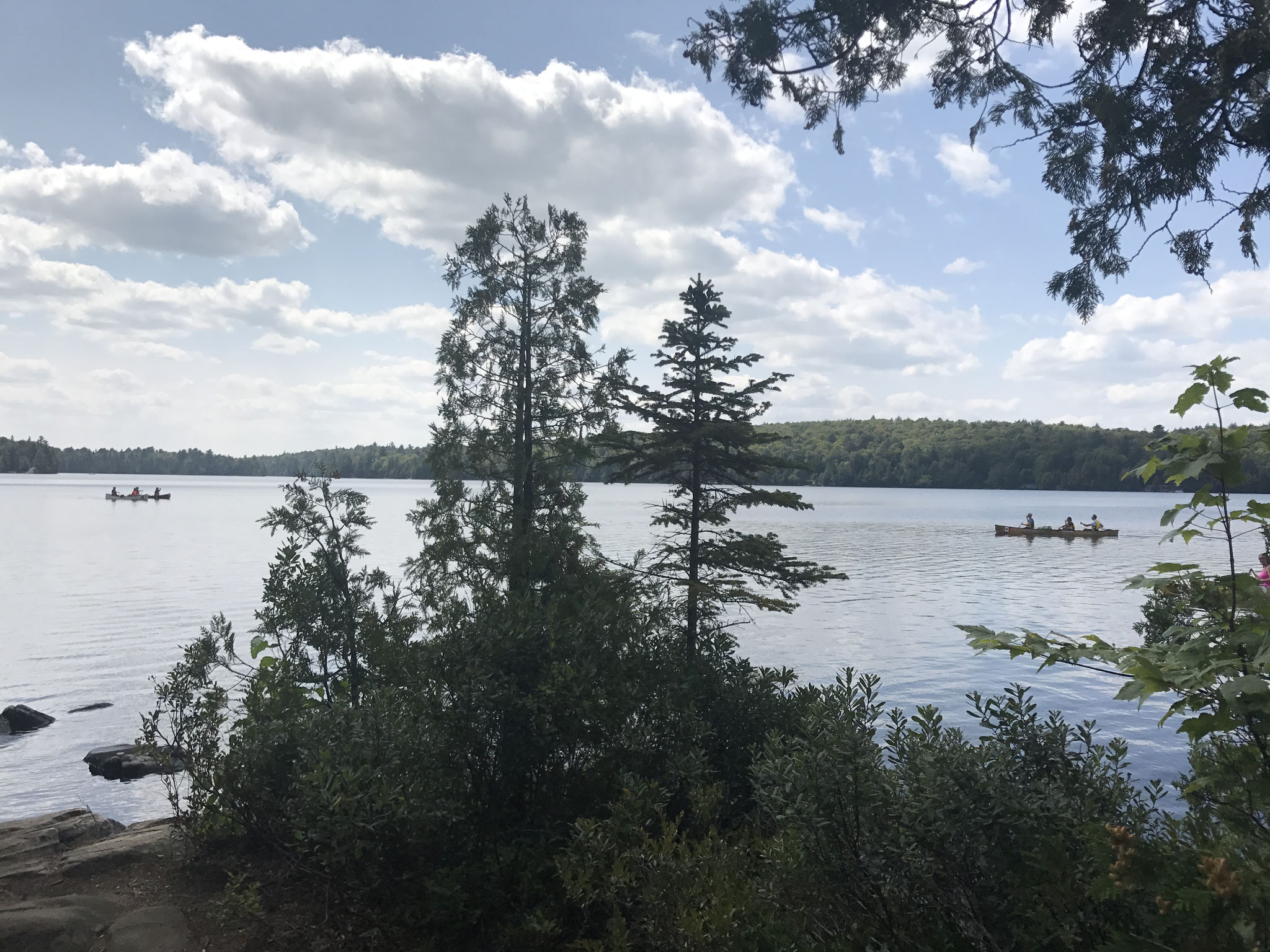 Algonquin Nationalpark