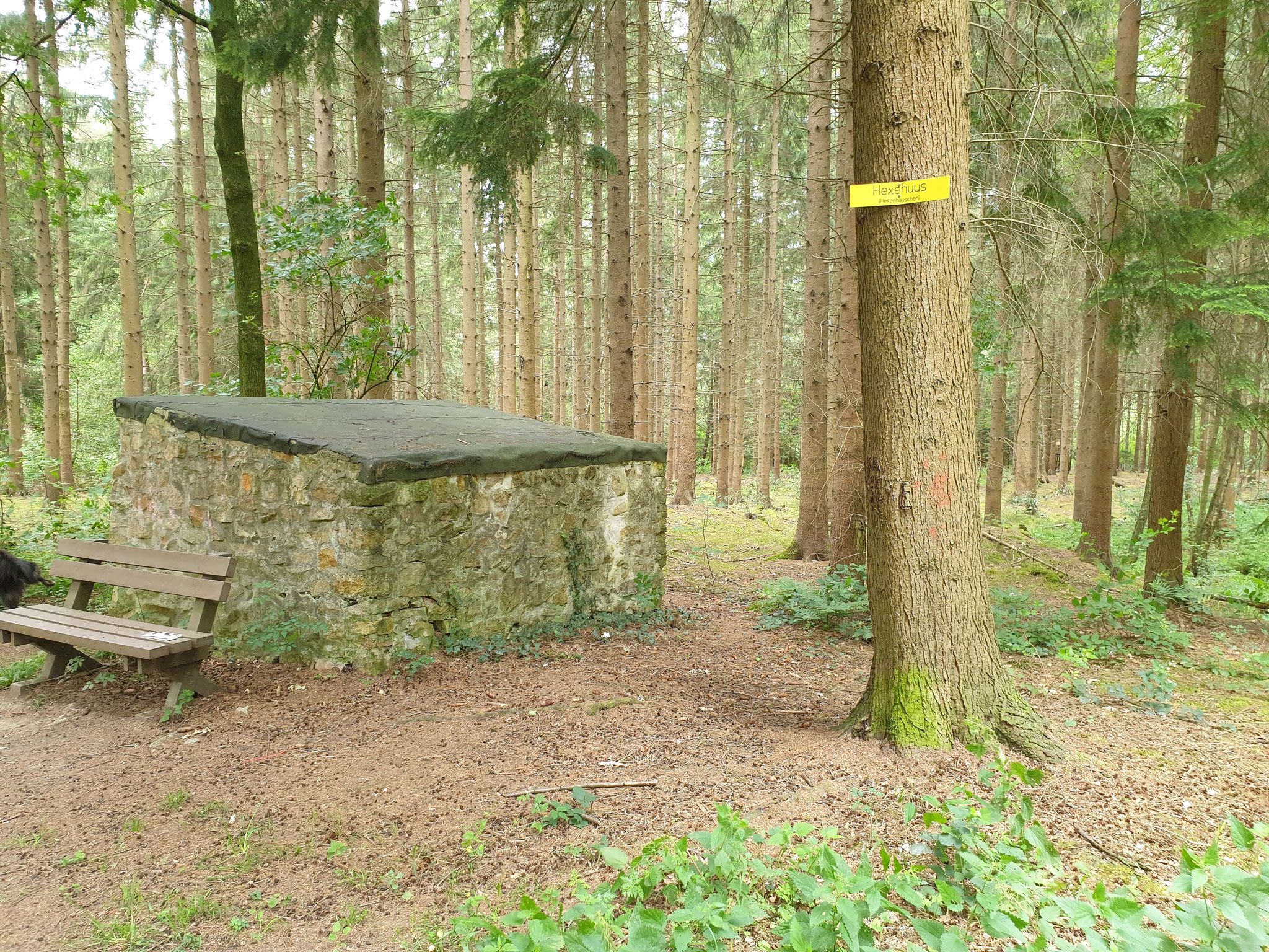 Das Hexenhaus im Großebusch