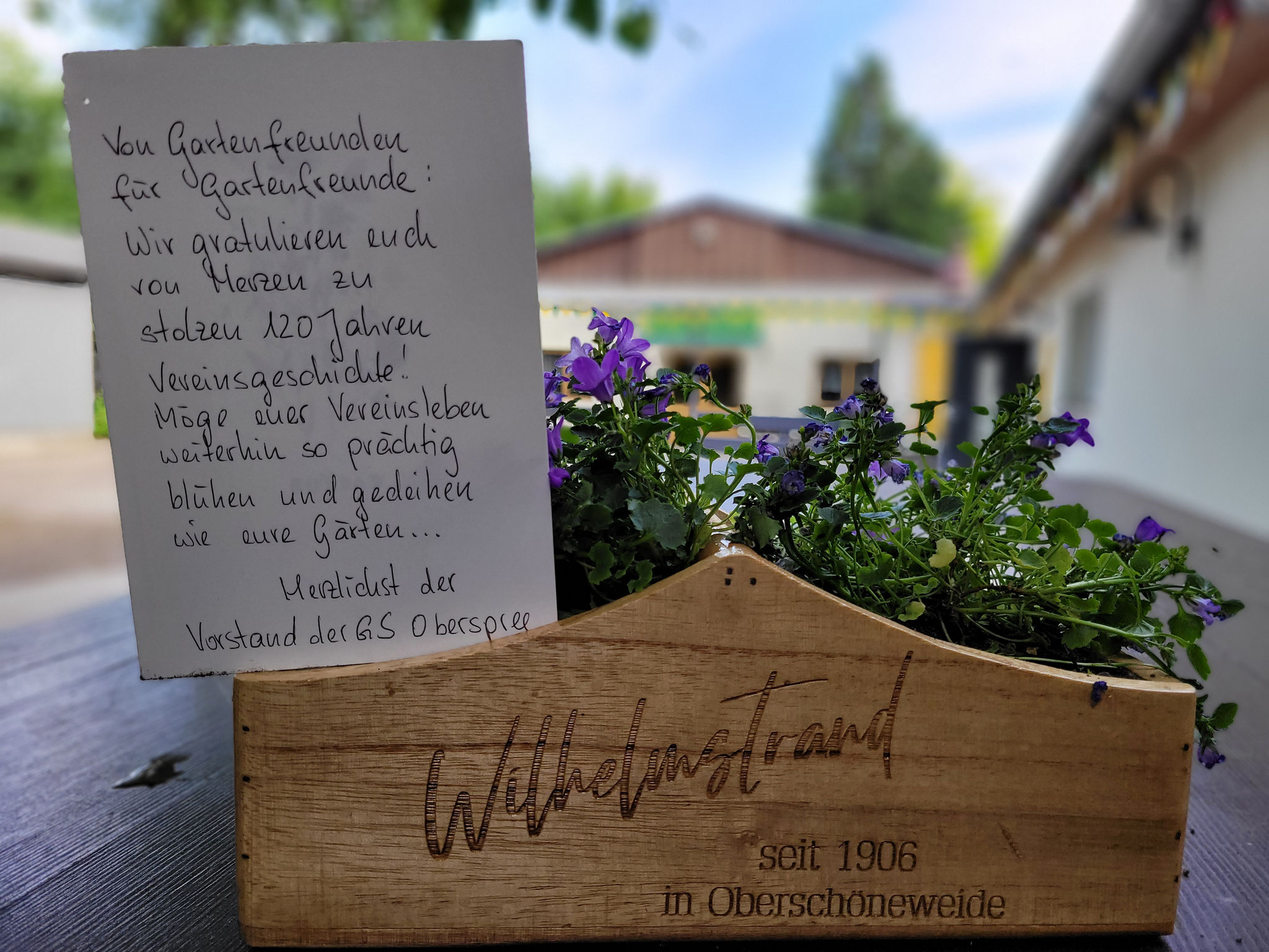 Danke für euren Besuch und die lieben Wünsche!