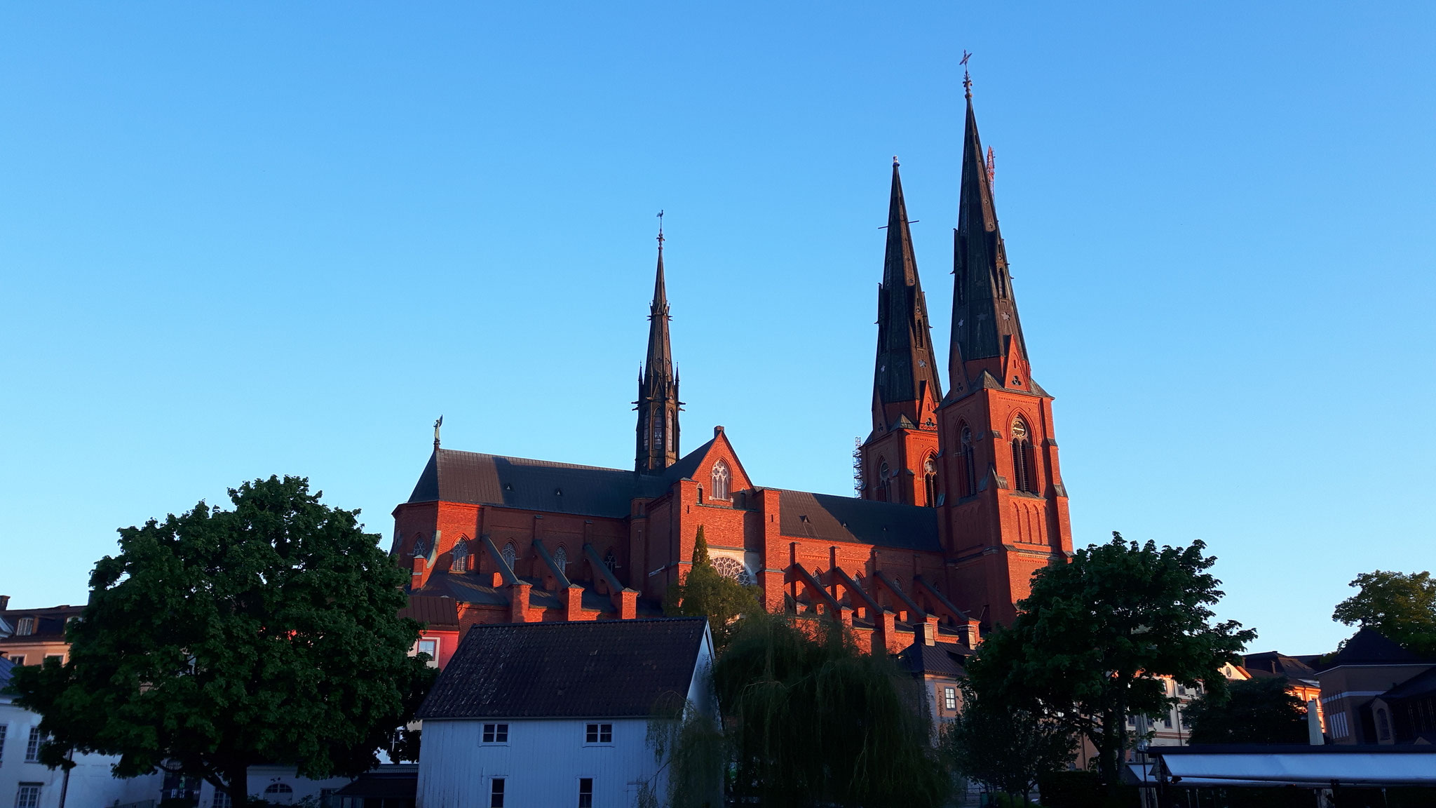 Dom von Uppsala im Abendlicht