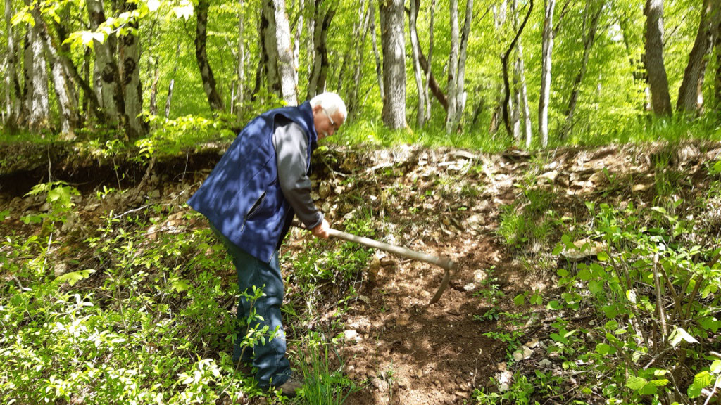 Petites marches pour faciliter la descente du talus