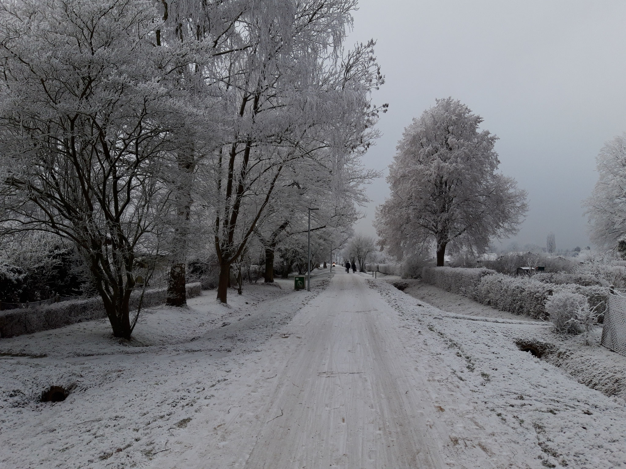 Tannenbergstraße in Richtung Westen (City)