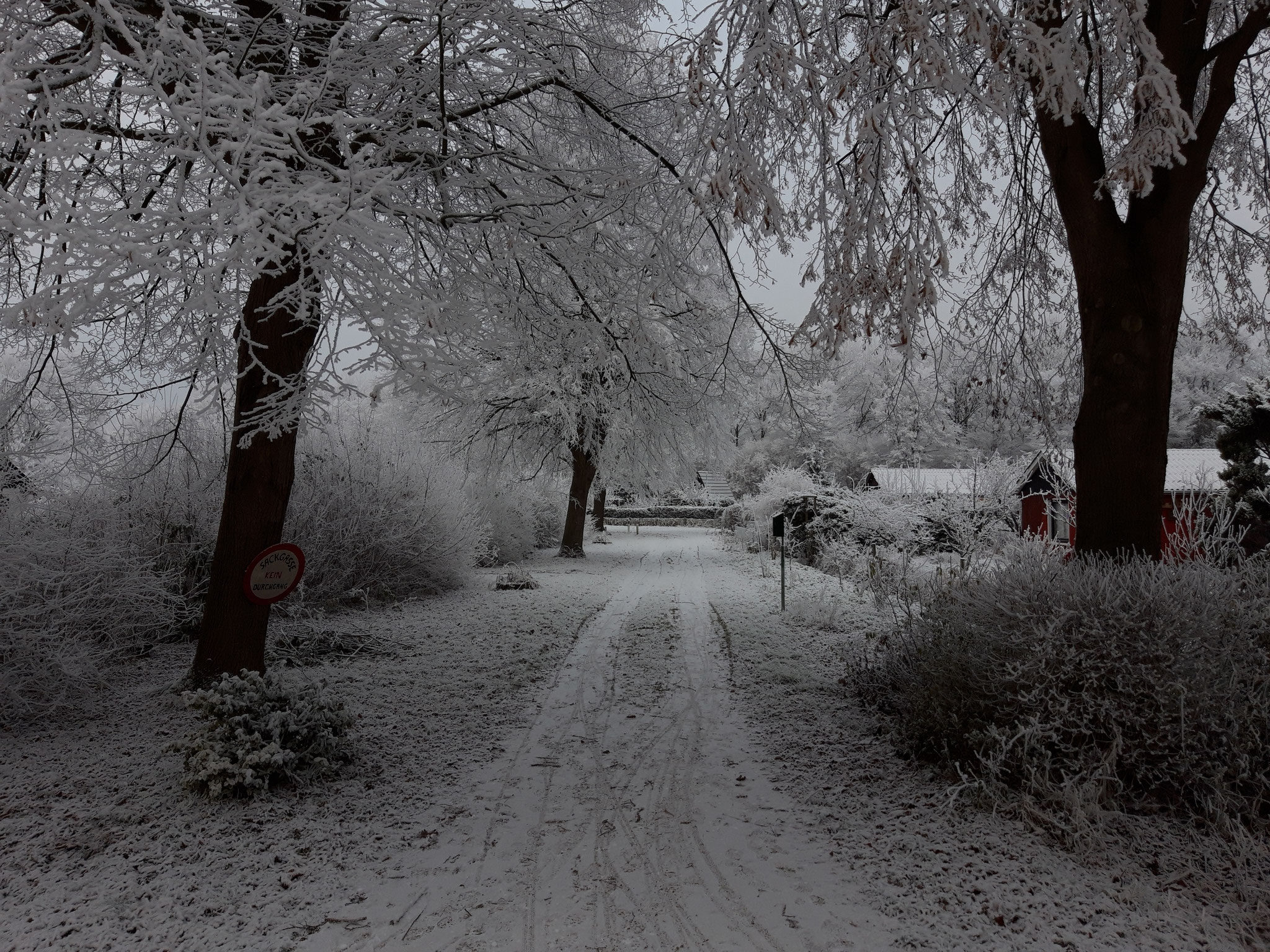 Feuerdornweg in Richtung Ententeich (Norden)