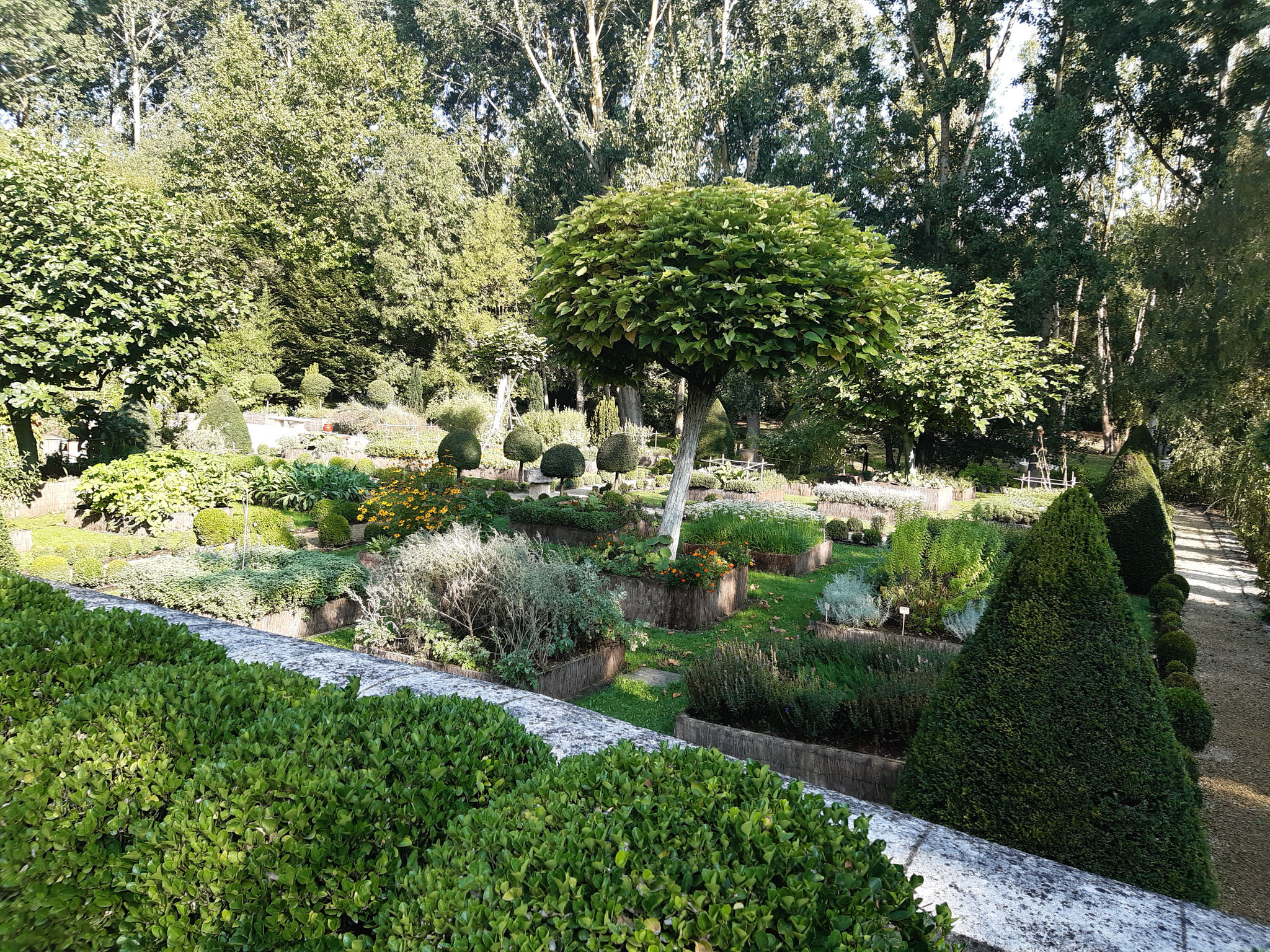 Parc du château de la Motte - Chalandray (87)