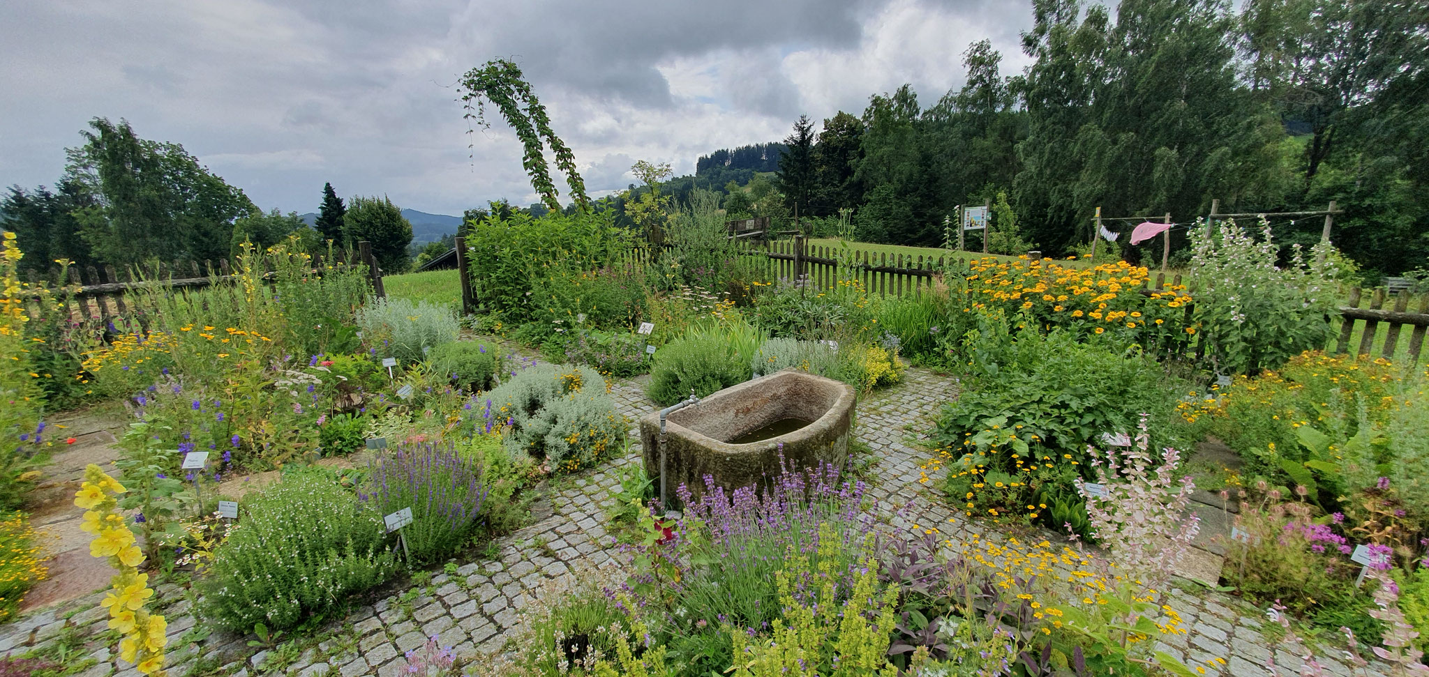 10 - Wunderschöner Kräutergarten für Kräuterkäse