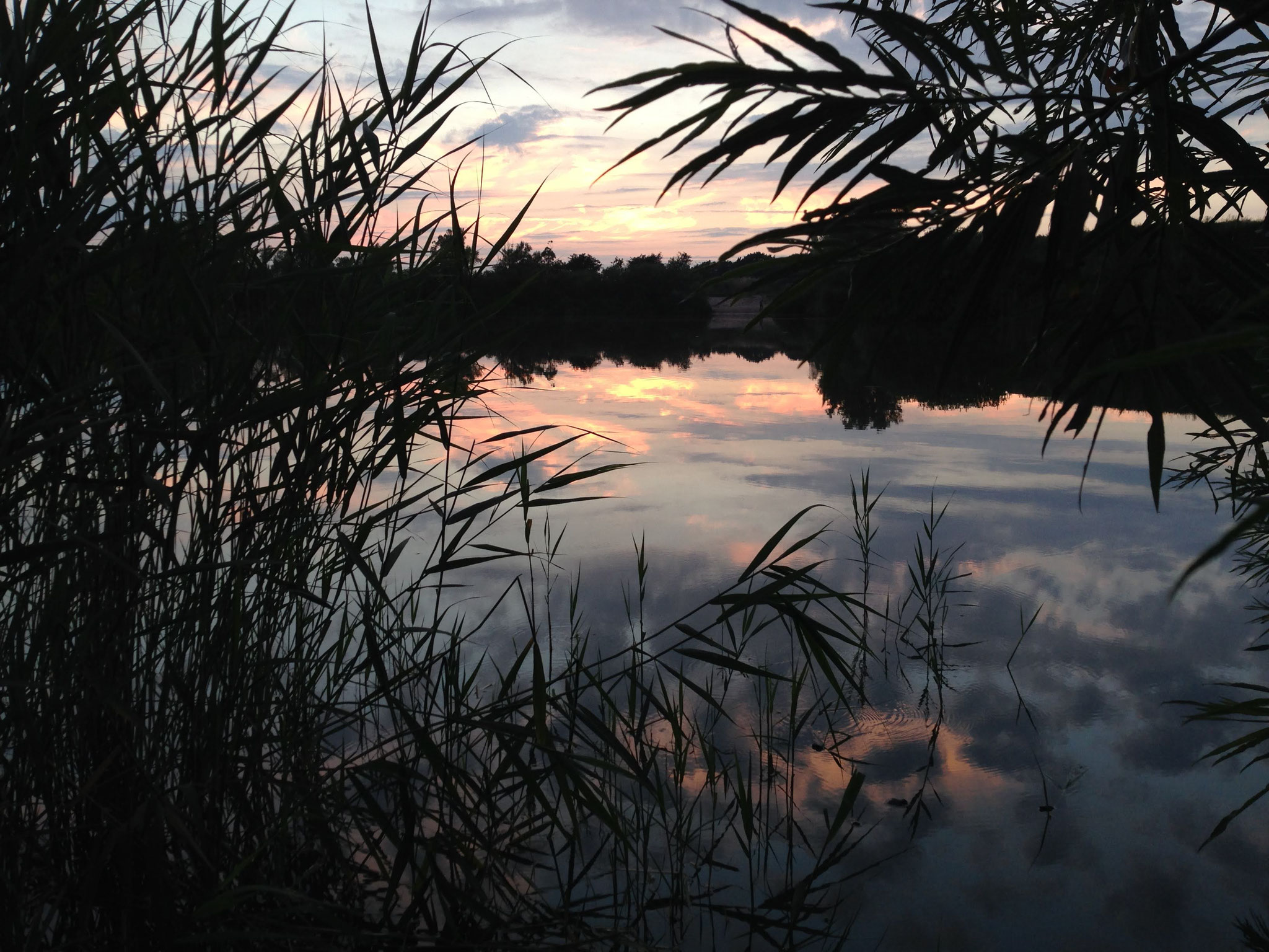 Jhamala's NAT(O)URs - Nordsee 4