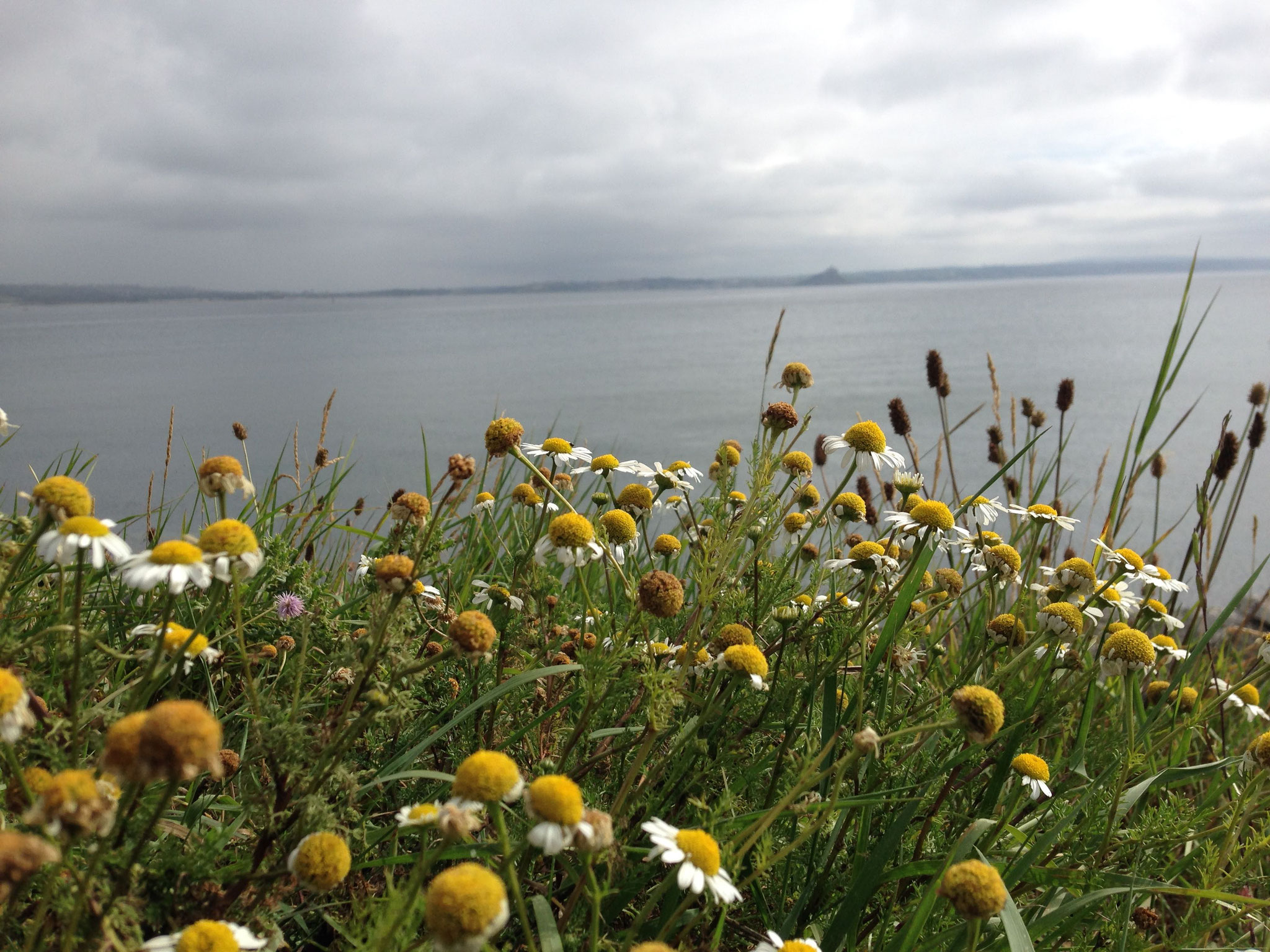 Jhamala's NAT(O)URs - Nordsee 6