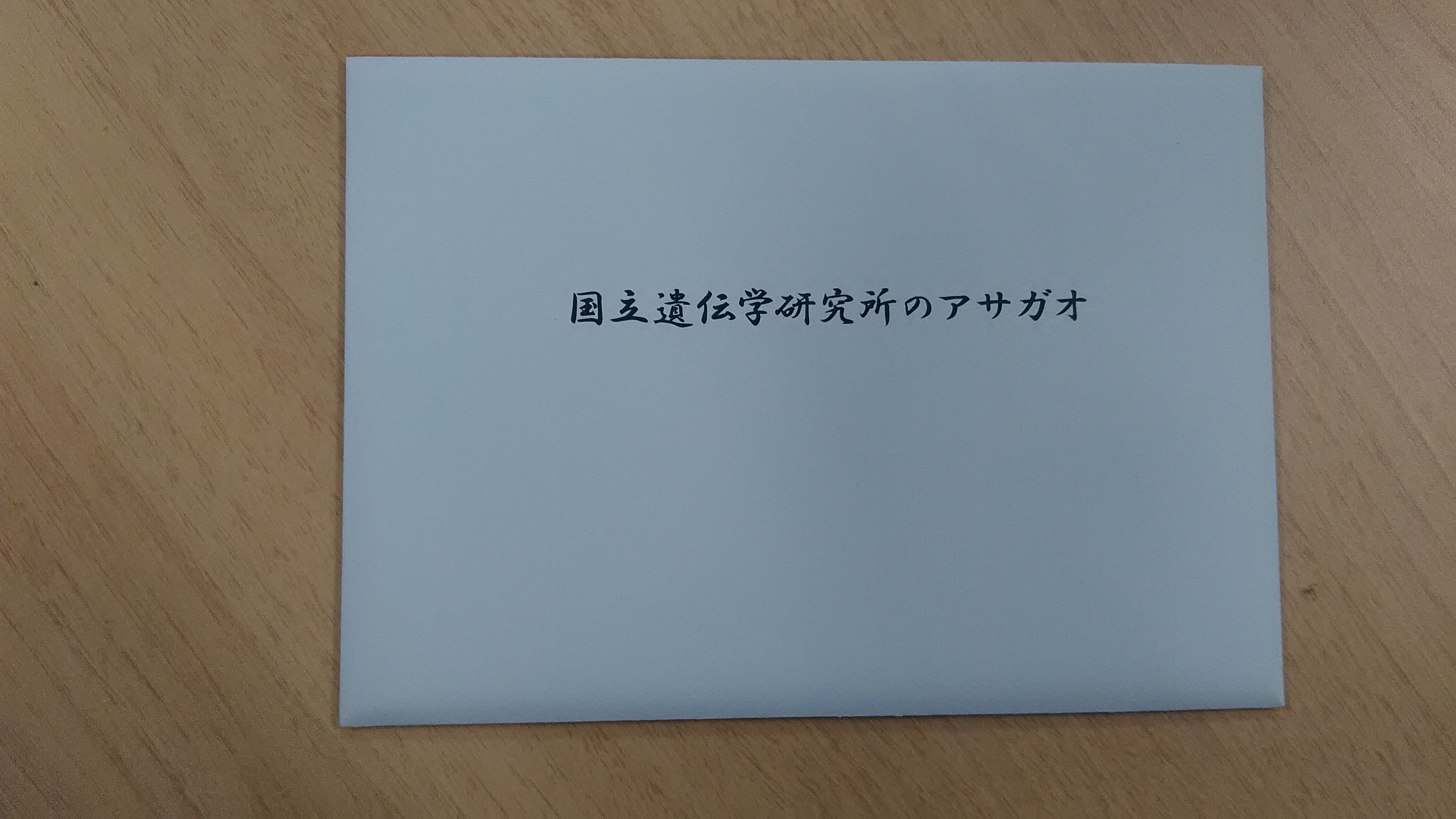 アサガオ絵葉書（300円）
