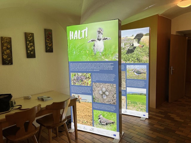 Gasthof Mandorfer in Hörsching