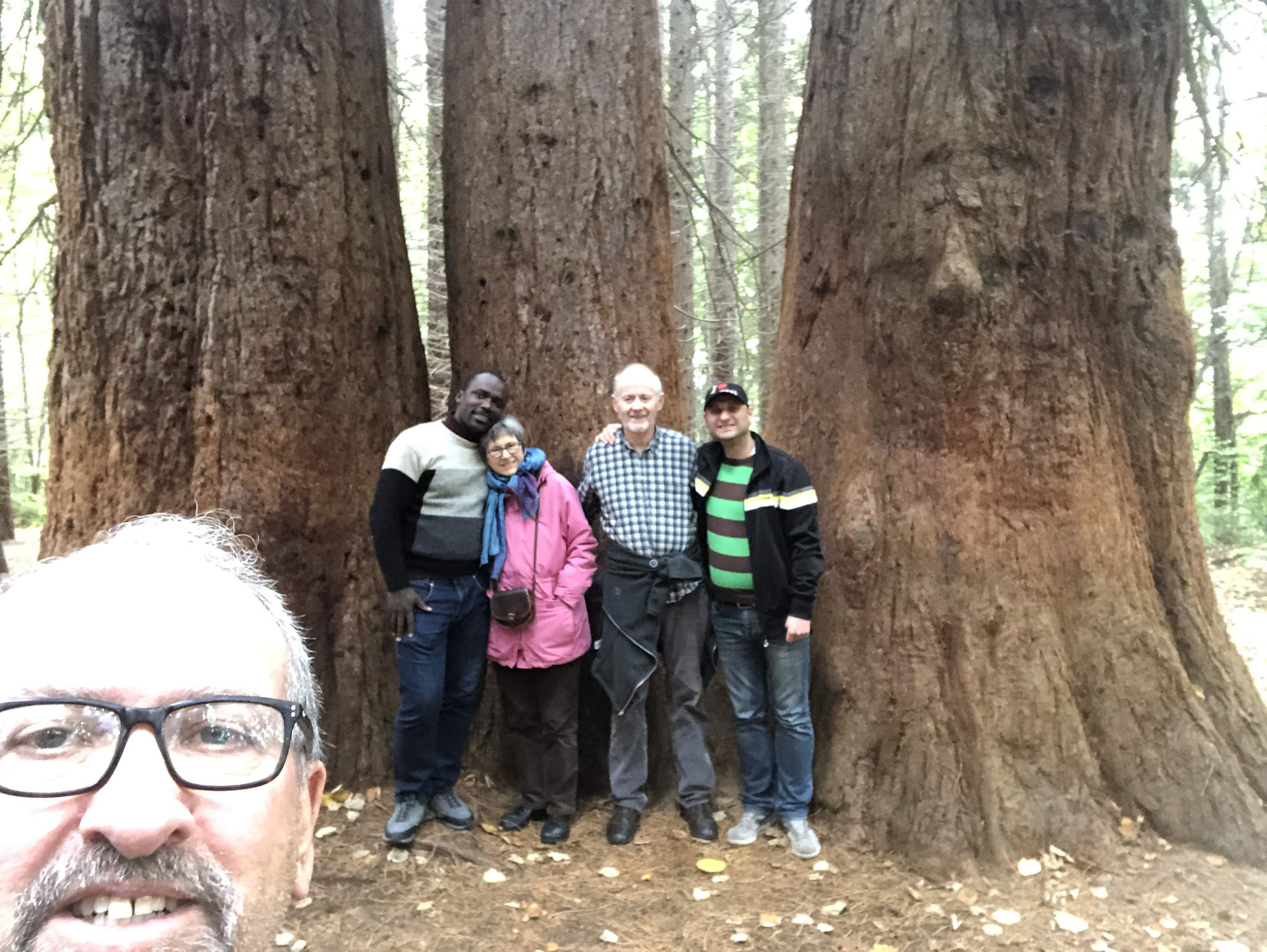 The team from Germany who did some touring with Jerry. These are the giant sequoias near Kyustendil. 