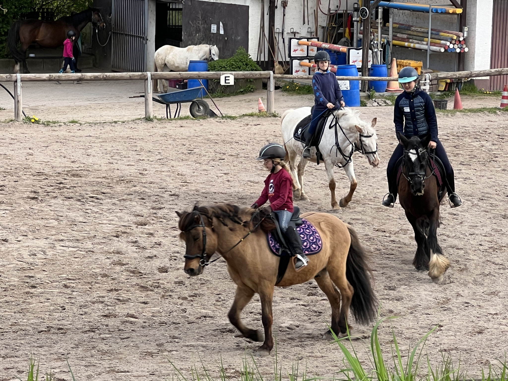 Reiten - Reiterverein Mannheim-Vogelstang-Wallstadt e.V.